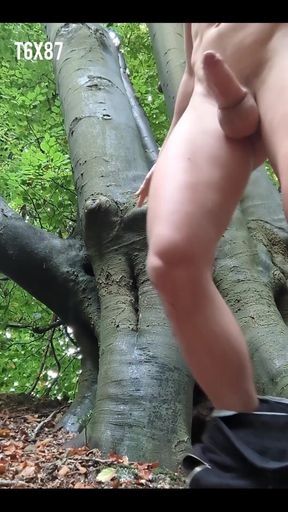 Horny in the Forest on a Gorgeous Autumn Day