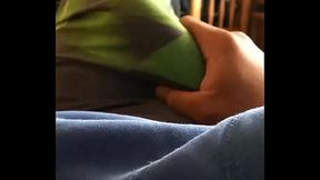 Pollon