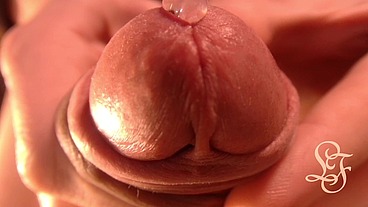 My shiny Dick wants to give you a Kiss