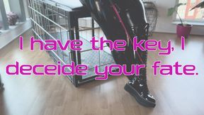 BBW Dominatrix CatastroV puts you in the BIG cage POV