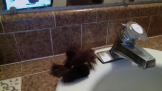 Cutting My Own Hair