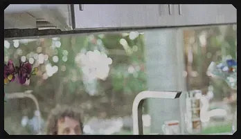 Cougars and Ariela Ferrera: Passionate Encounters