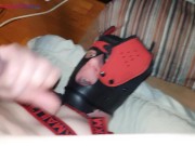 Pup Domesticated By Alpha Part 2 of 2 - 'SWEDISHGAYCOUPLE' -