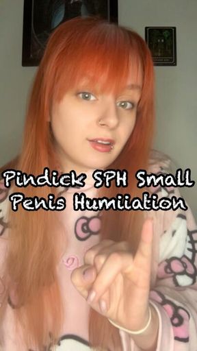 Pindick SPH Small Penis Humiliation