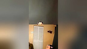 Live Flash