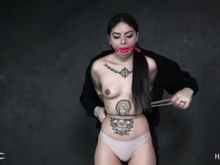 Rose Darling Fascinating Darling