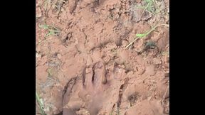 Playing Barefoot In The Mud After A Light Rain!