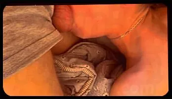 Morning Throat Frenzy: Big Cock Blowjob with Brunette Couple