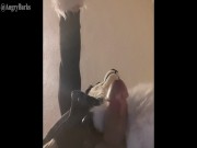 murrsuit cum compilation