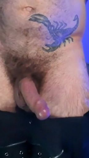 POV Muscle Worship Humiliation Alpha Male Domination