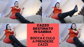 CAZZO DESTINATO IN GABBIA E BOCCA E CULO A PRENDERE CAZZI