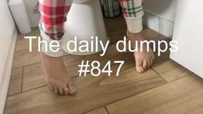 The daily dumps #847 mp4