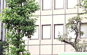 Mane-042 adult training hr training consultant saryu saryu usui