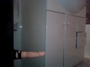 Follada a cuatro patas