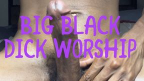 Worship the King – Big Black Dick Perfection