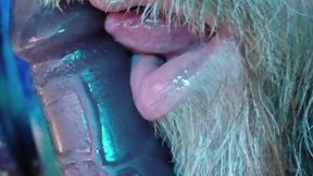 Daddy Learns To Suck Dick Part 2