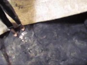 B.B.B. F.U.C.V. 03: Vicca "Sexy BLack Fetish Attire"WMV with SLOMO