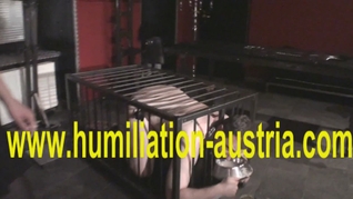 goddess gloria humiliate slave joschi
