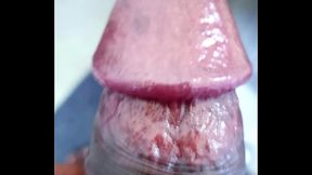 girlfriend experience