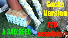 A Bad Seed - sockfeet 720res HD