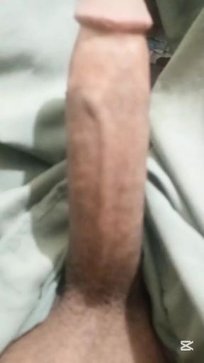 My cock is available for all women and girls. My cock sex is available. My cock sperm is available. You can contact me.