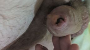 My leaking and showing how much piss my foreskin holds.