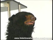 Sandra transformed like a bear