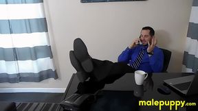 Bossy Toby Springs embarrasses himself during a live meeting