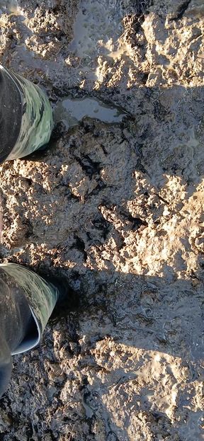 Pissing on wellies deep in Mud