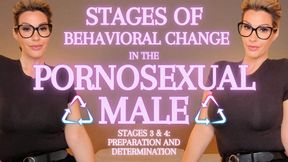 Stages of Behavioral Change in the Pornosexual Male 3 & 4