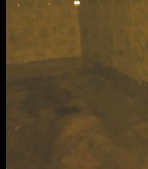 Bandar Sissy flexible in the bathtub attempting self suck and then final surprise