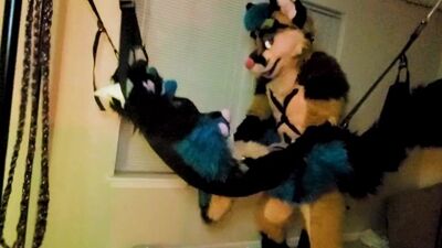 Xneo Breed Sucario's Ass Bareback in a Sex Swing