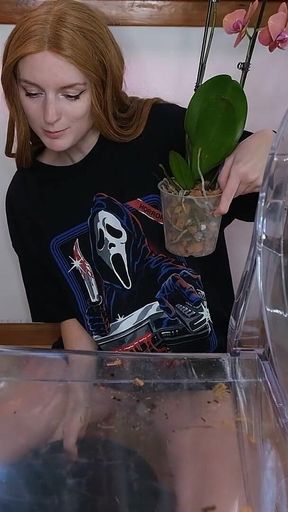 Showing off My Flower