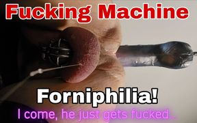 Fucking Machine Anal Slave Forniphilia Human Furniture