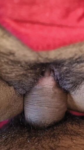 Desi Bhabhi Kitchen Sex Video With Brother In Law