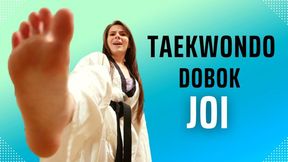 HD Ziva Fey - Taekwondo Dobok JOI