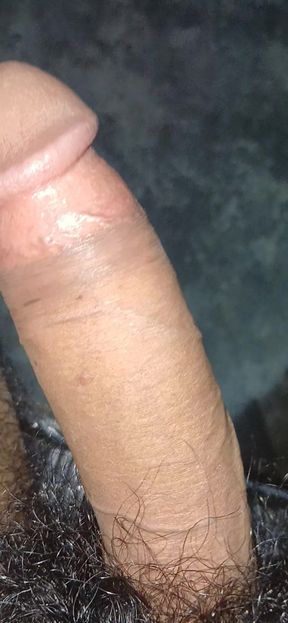 Sister-in-law Has Seen My Land.