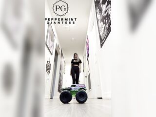 7'3" Tall Amazon Giantess Female-dominant Crushes Toy Car with her Size 16 Feet in 8 inch Heels