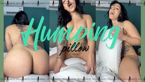 Humping Pillow