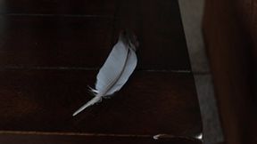 Disliking Of A Feather, 1st