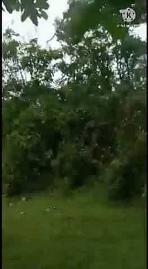 Sex video