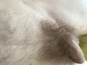 Perfect Body Moaning Close Up