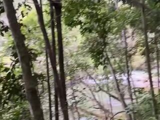 Walk in forest ended in a screw in the woods