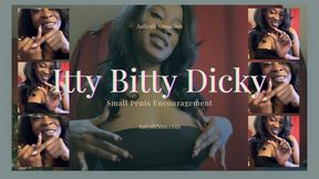 itty bitty dicky (Small penis Encouragement) (SPH and JOI )