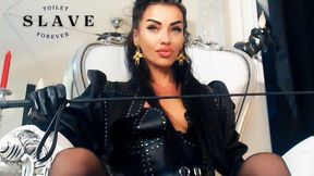 Toilet Slave Forever: Ass Shaking Femdom Toilet Slavery, CEI & Tiny Clit JOI for Addicted Ass Worshippers