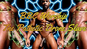 BBC Worship The Pathetic Drone Slave