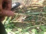 Orinando en el campo