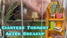 Ex Girlfriend Torments you after Breakup