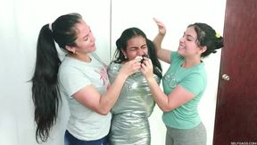 The Egyptian Mummy Project