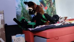 German shepherd breeds a bunny - Fursuit yiff breeding